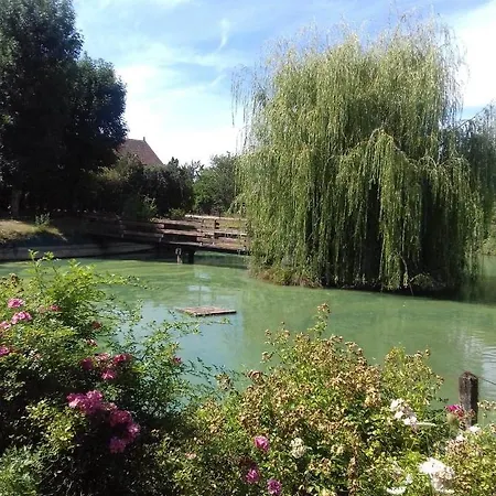 Ferme bressane les Arums-2