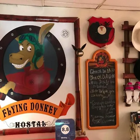 Flying Donkey-3