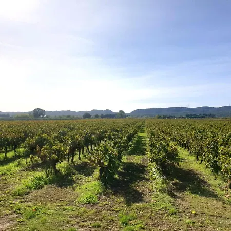 Domaine de Sévanes-3