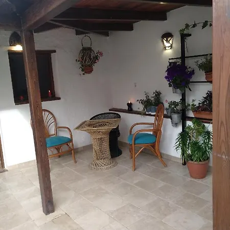 El Patio Andalú-3