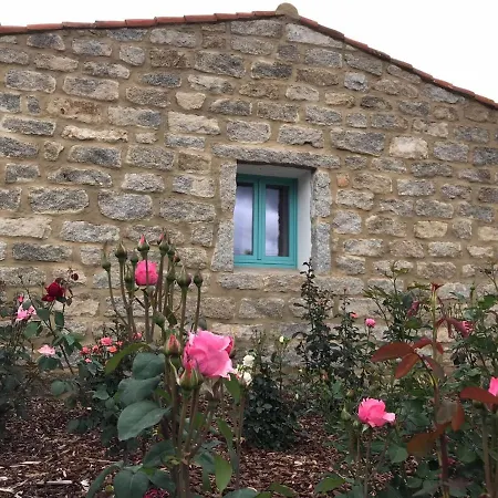 B&B Li Tauli-3