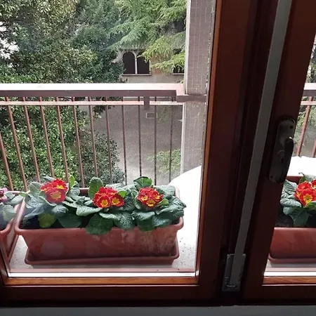 B&B Xenia-3