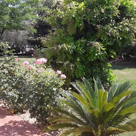 Villa Fabbri-3