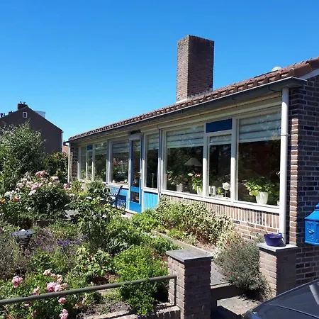 B&B De Blauwe Tulp-2