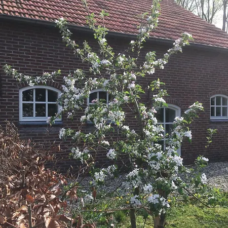 B&B bij Bedaf-3