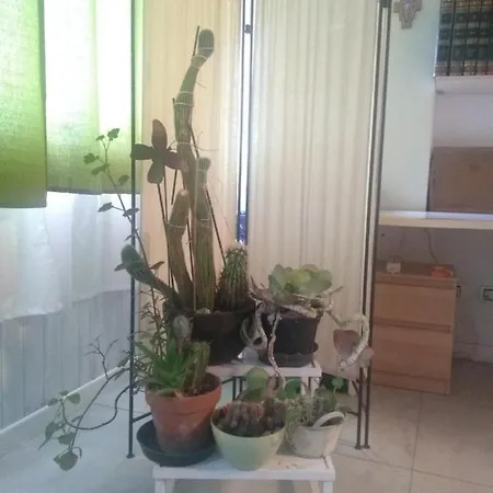B&B Casa Girasole-2