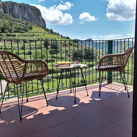 B&B Taccu Maccu-2