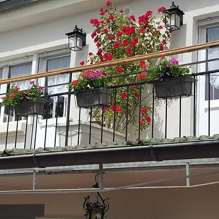 Les Iris Chambres D'Hote-3