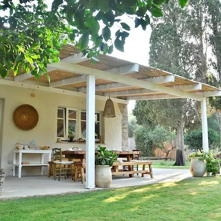 B&B Giallo Limone-2