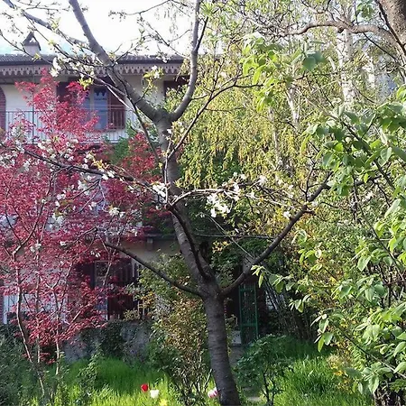 Il Giardino dei Merli-2