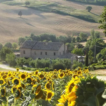 La Casa degli ulivi Art B&B-3