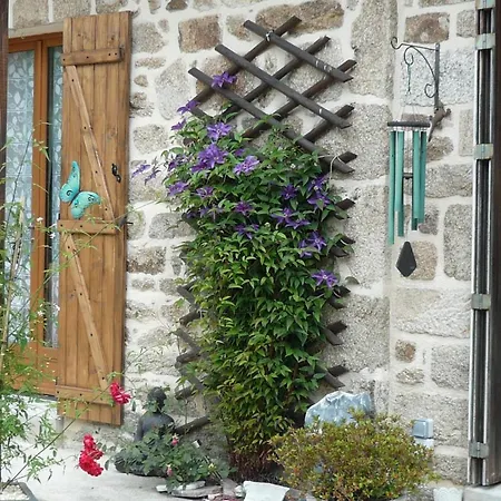 Le Petit Papillon-3