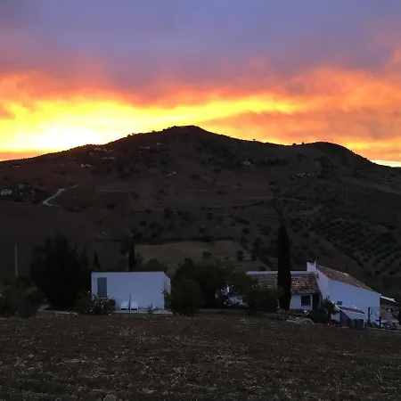 Finca Las Campanas II-2