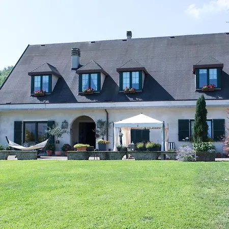 B&B La Provenzale-2