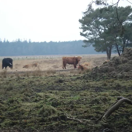 B&B De Eikenhorst-2