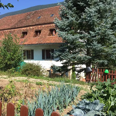 Chez Dodo 2534 Orvin Le Foncet-2