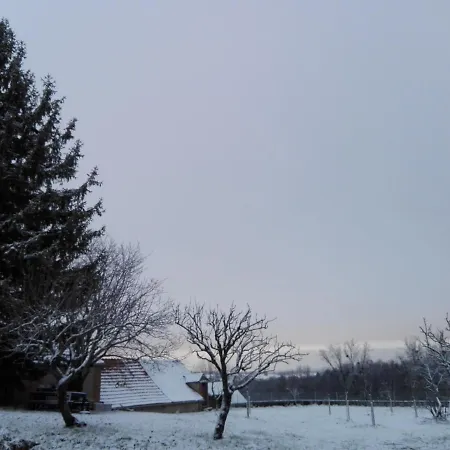 Chez Casimir-3