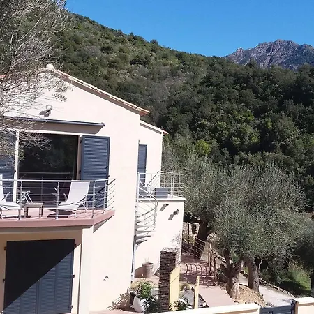 L'oliveraie du Fango-2