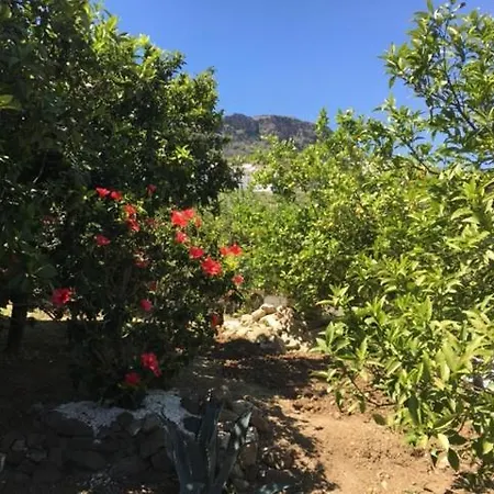 La Hermosa Vista-2