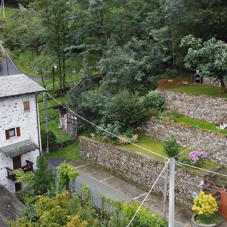 B&B Al Carotin-3