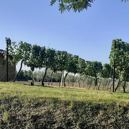 Vicolo Del Nido B&B-2