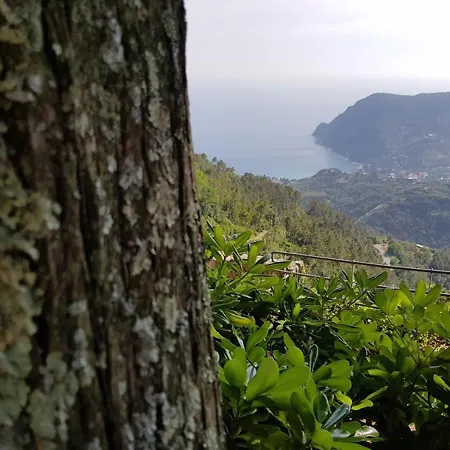 Santuario Ns Soviore Cinque Terre-3