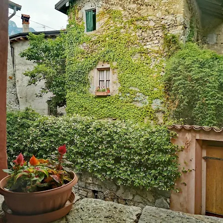 Alla Torre del Barbarossa B&B FORESTERIA-3