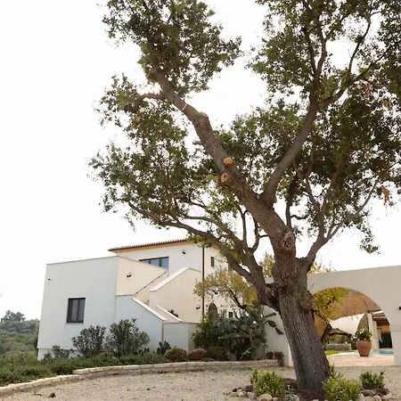 Villa Angiolina, Molise-2