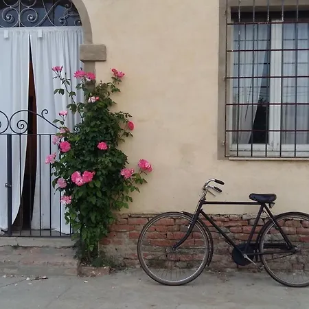 B&B La casa dei prugni-2
