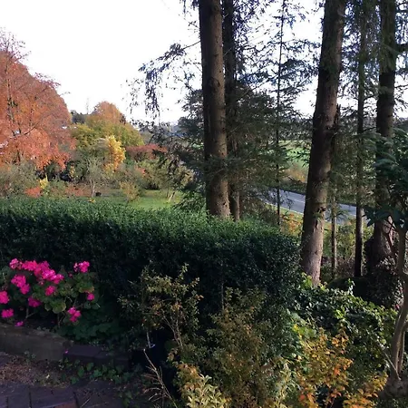 Tan Y Graig-3