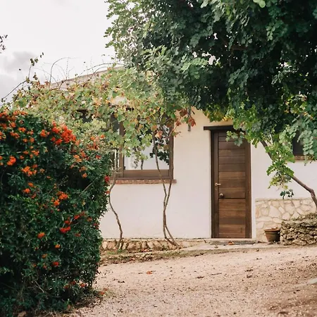 B&B Badde Cubas-2