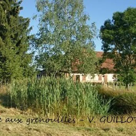 La mare aux grenouilles-3