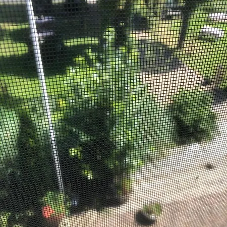 Hoeve Cornelia-2