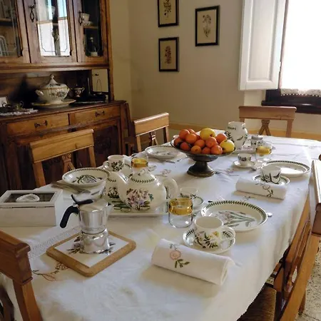 B&B Cimamori-3