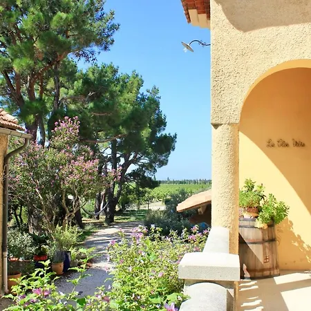 Le Clos Vitis-3
