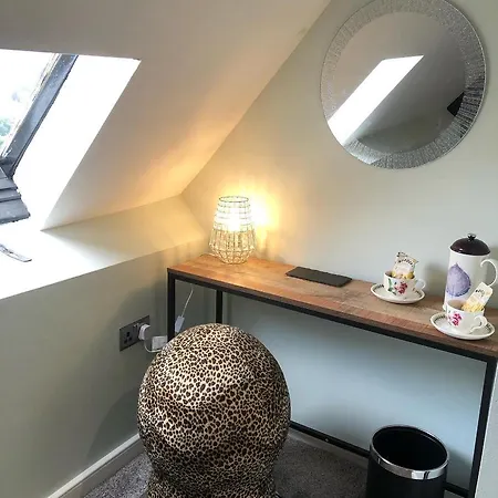 Mount Street House-2