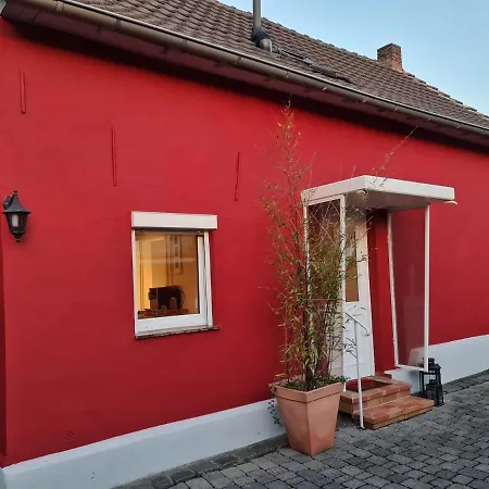 Schönste Lage am Rhein in unmittelbarer Stadtnähe, B&B-3