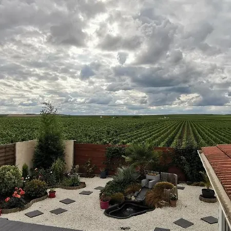 Au Bouchon Champenois-3