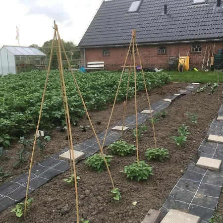 Onder De Boom-2