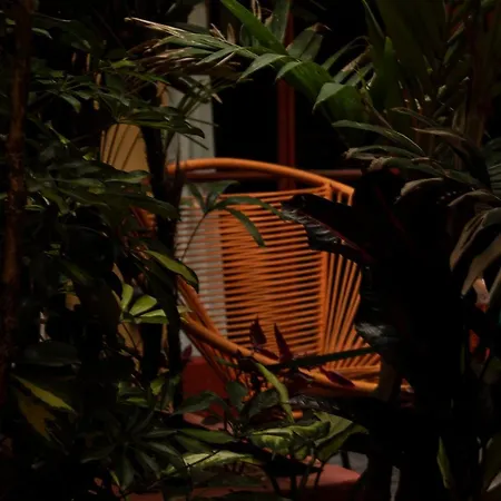 The Red Tree House-3