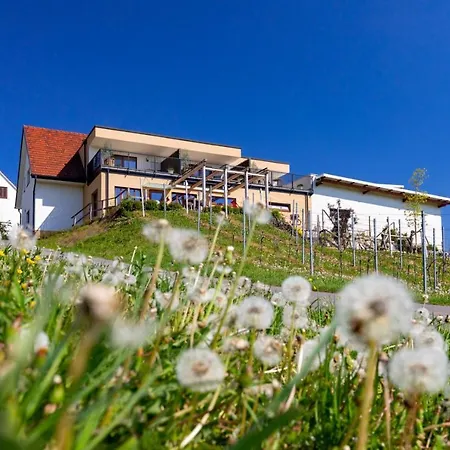 Weingut Perner-3