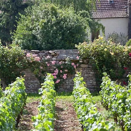 Domaine Violot-Guillemard-3