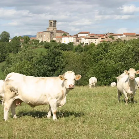 La Paresse en Douce-2