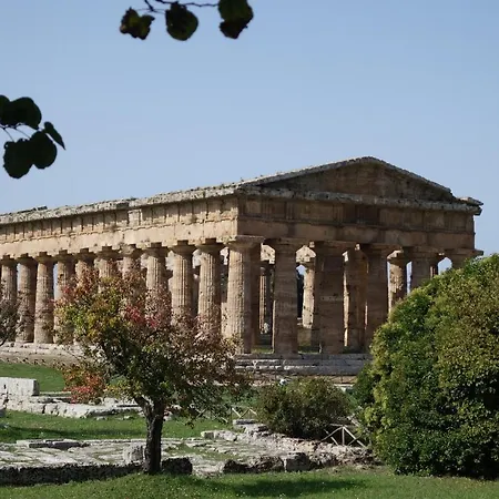 Vecchio Saracino - Carola 1801-2