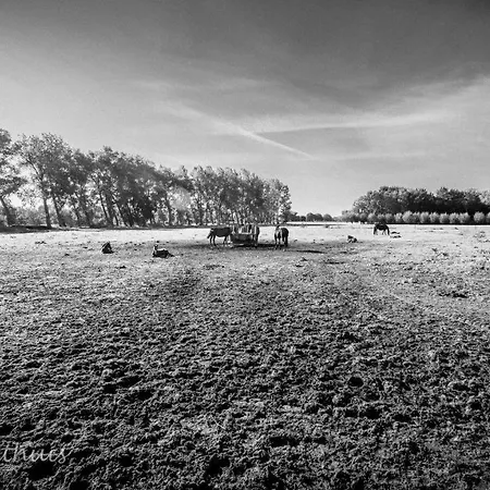 Bed&Breakfast de Bimd Hoeve-2