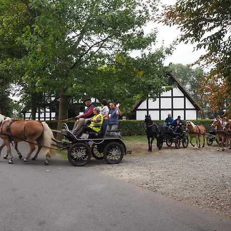 Ferienhof Hage-2