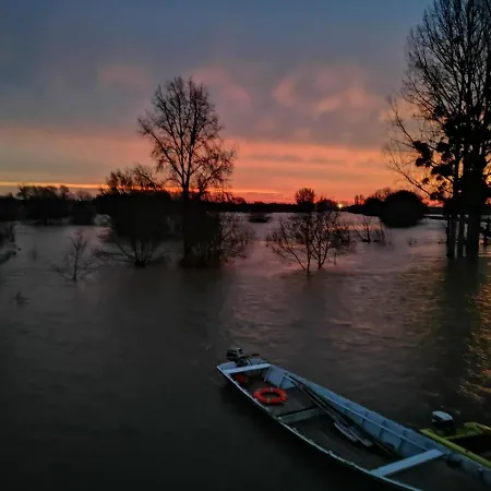 Bedloire-3