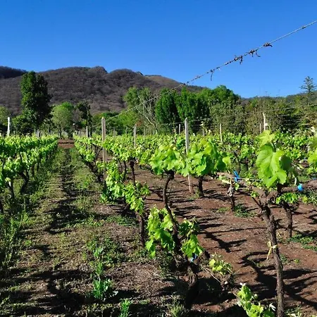 Finca Cielo Verde-3