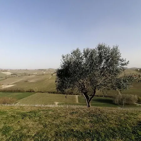 Tenuta Le More-2