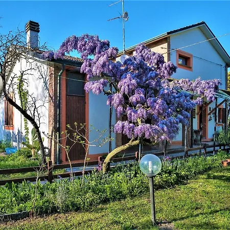 B&B La Mia Oasi-3